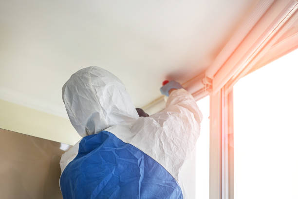 Mold Remediation for Vacation Homes in University Of Pittsburgh Johnstown, PA